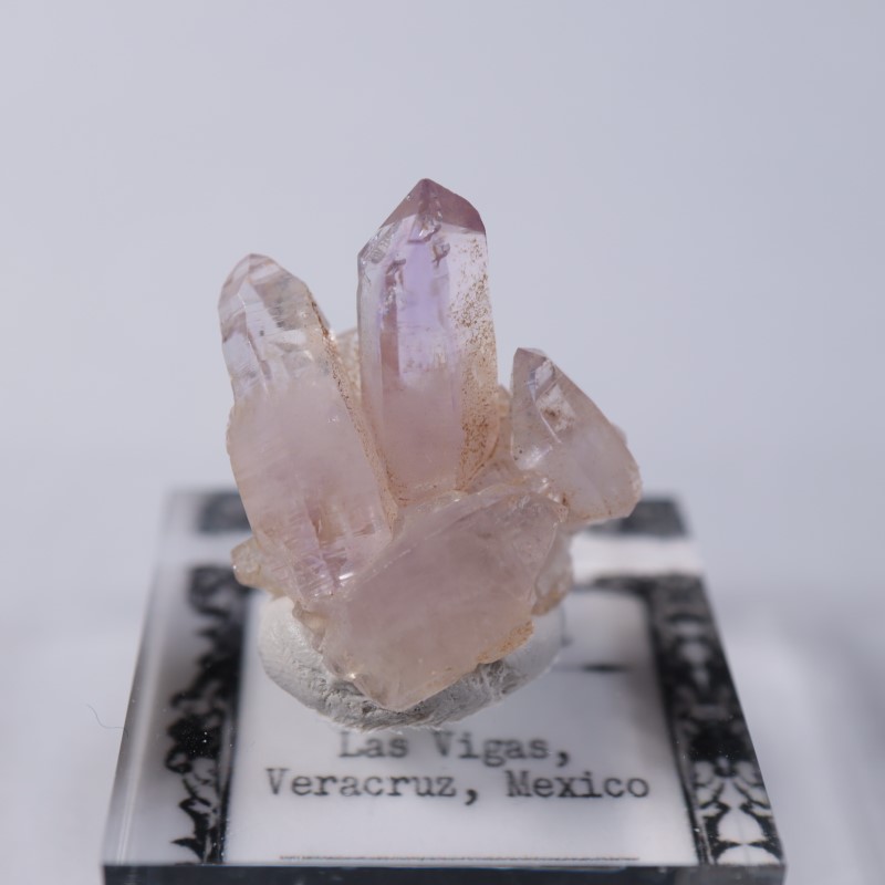 �٥饯�륹�������᥷����