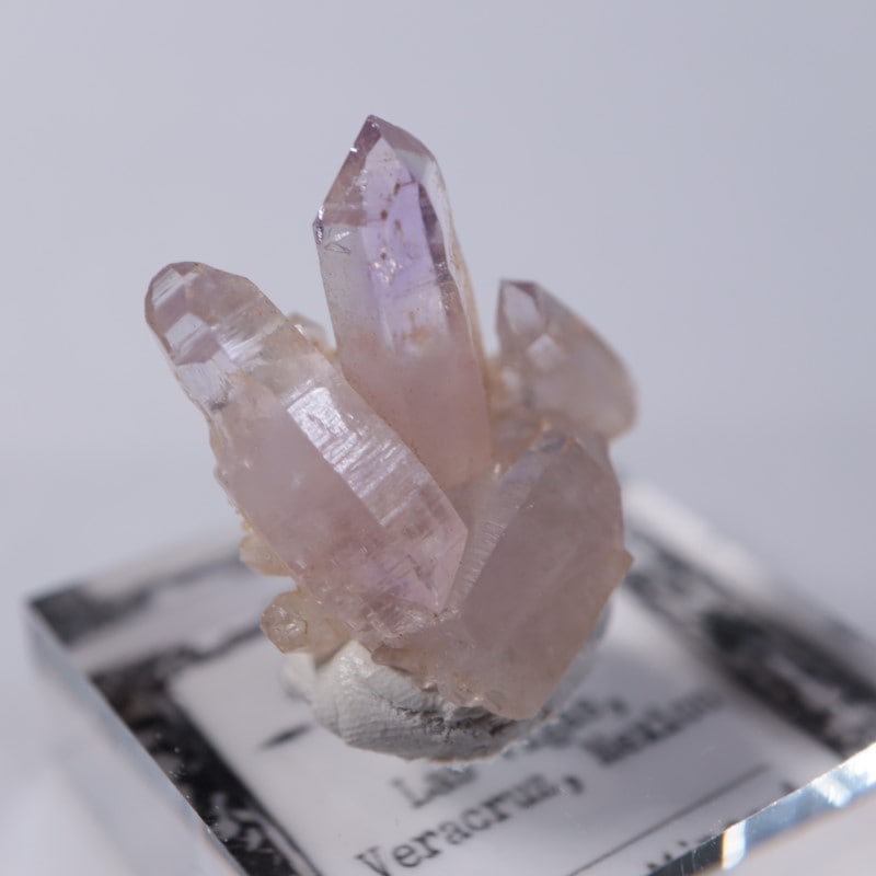 �٥饯�륹�������᥷����