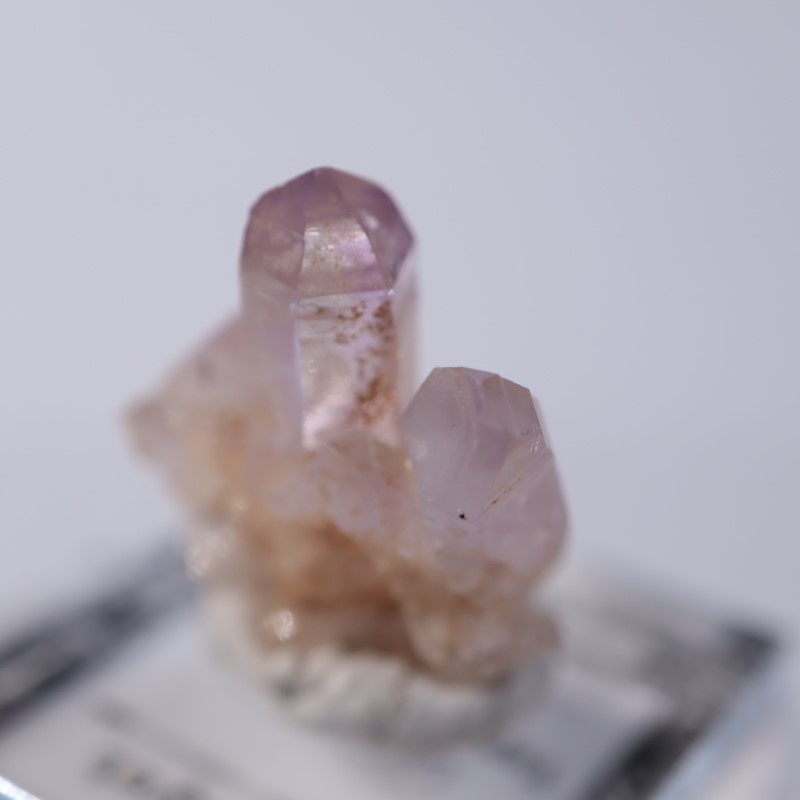 �٥饯�륹�������᥷����