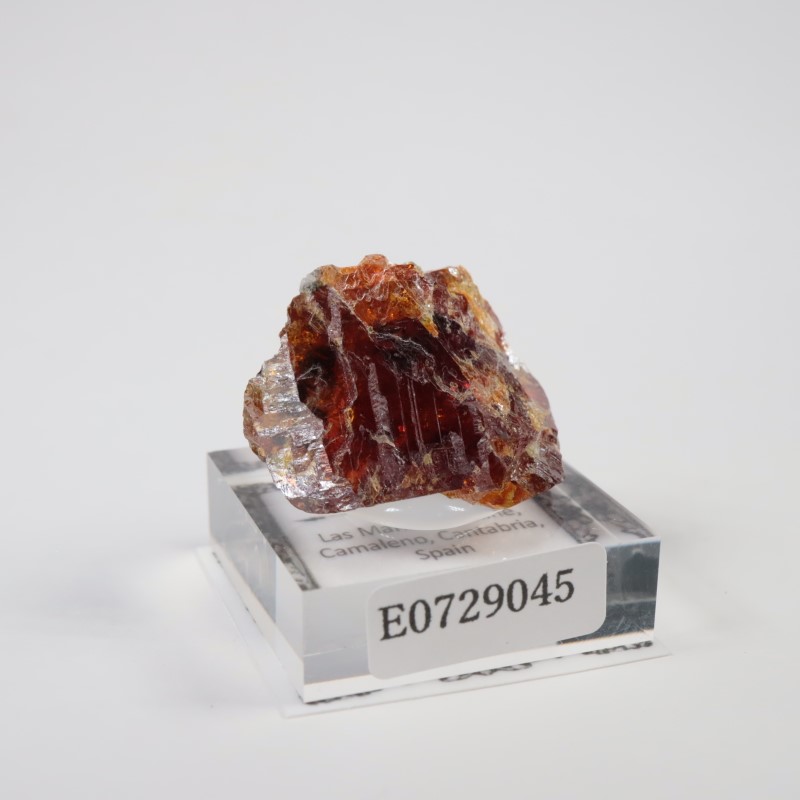 ���ڥ��� ���ե���饤��