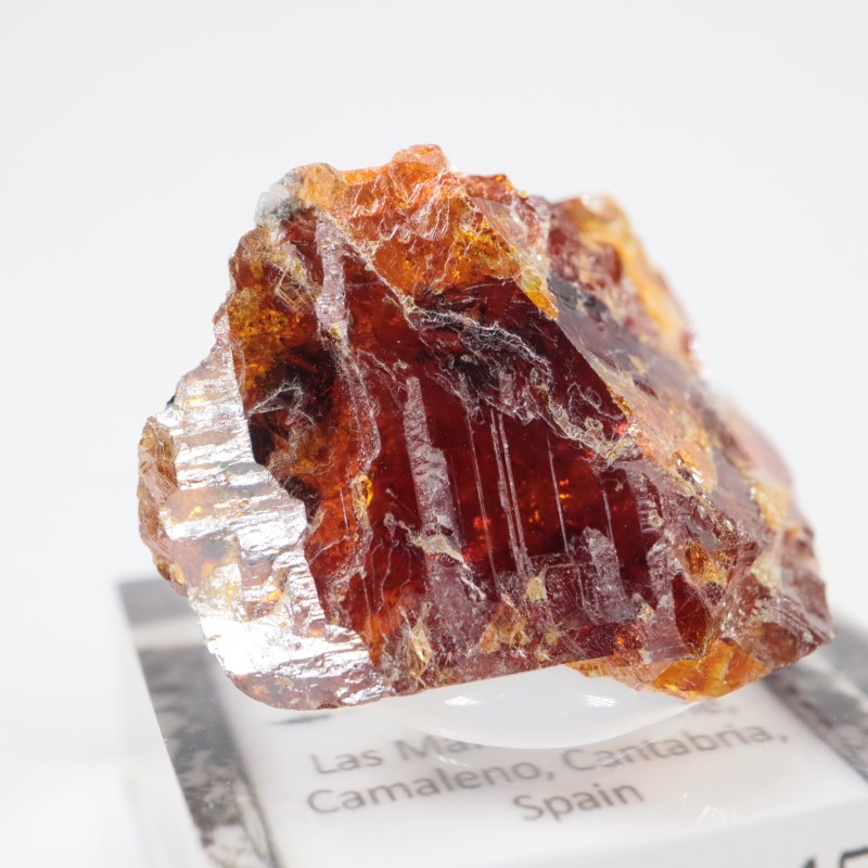 ���ڥ��� ���ե���饤��