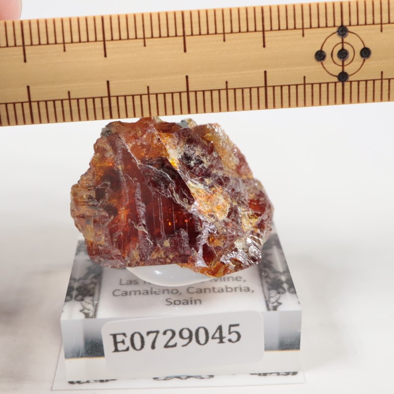 ���ڥ��� ���ե���饤��