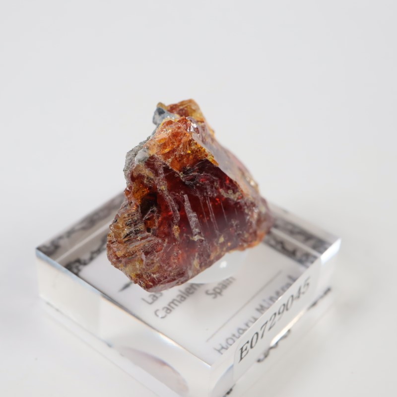 ���ڥ��� ���ե���饤��