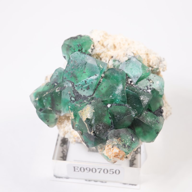 エロンゴ鉱山産 フローライト | 鉱物標本,ハ行,フローライト/蛍石