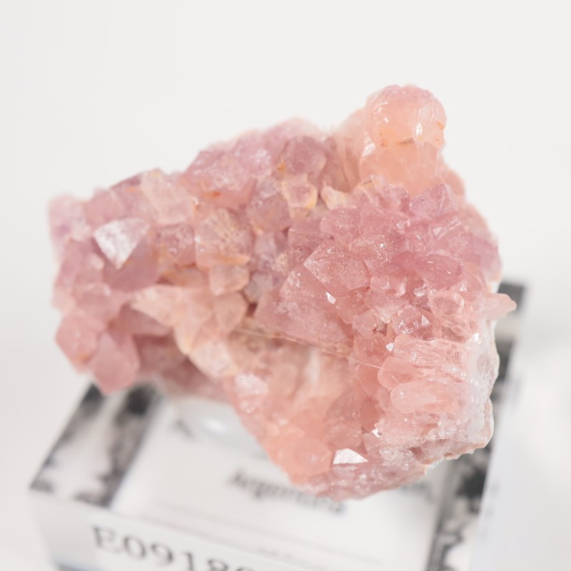 ���를����� �ԥ󥯥�������