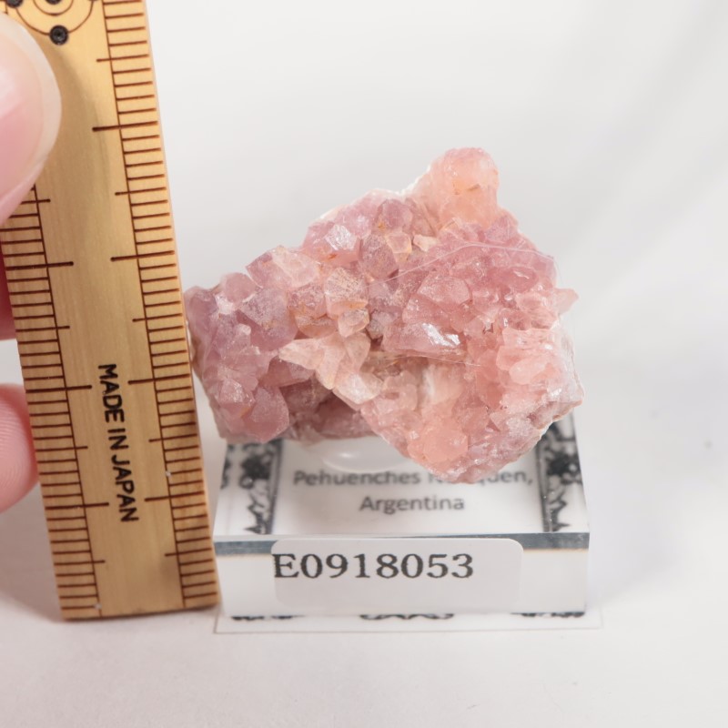 ���를����� �ԥ󥯥�������