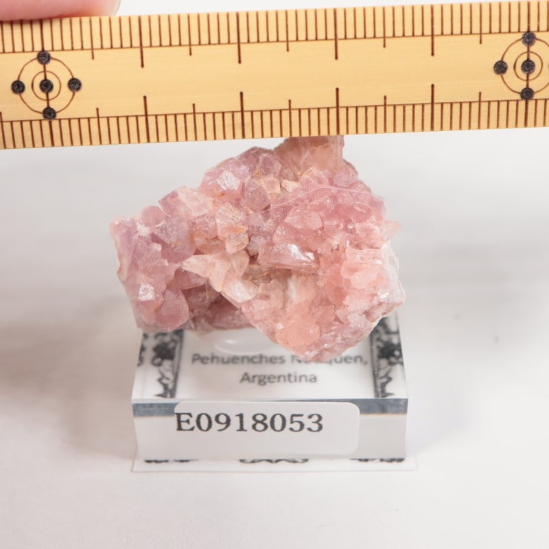 ���를����� �ԥ󥯥�������