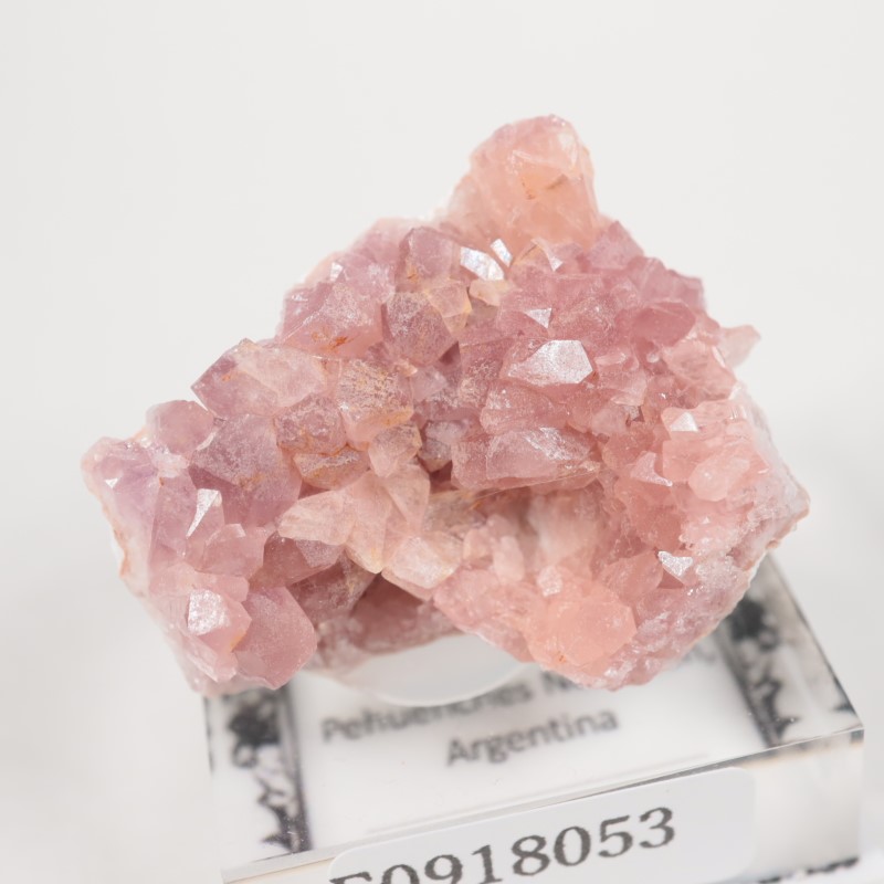 ���를����� �ԥ󥯥�������