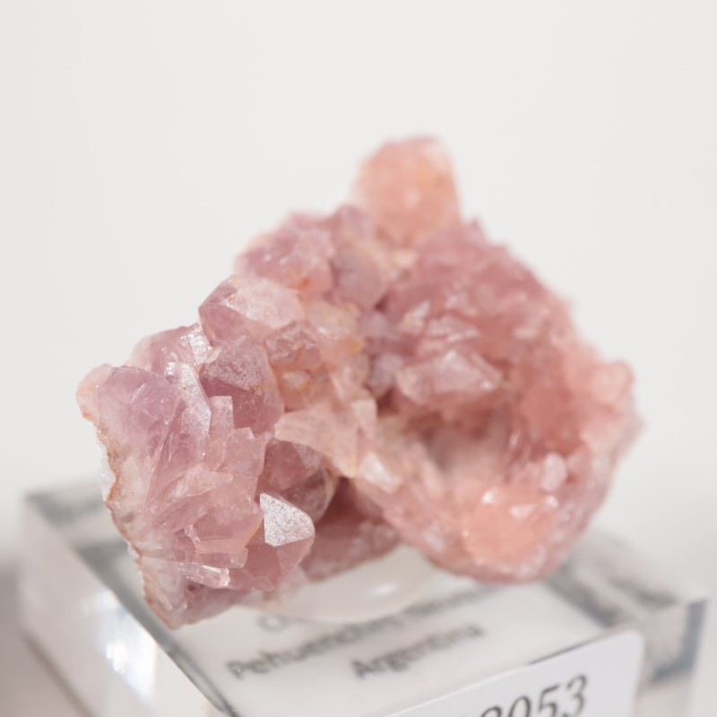 ���를����� �ԥ󥯥�������