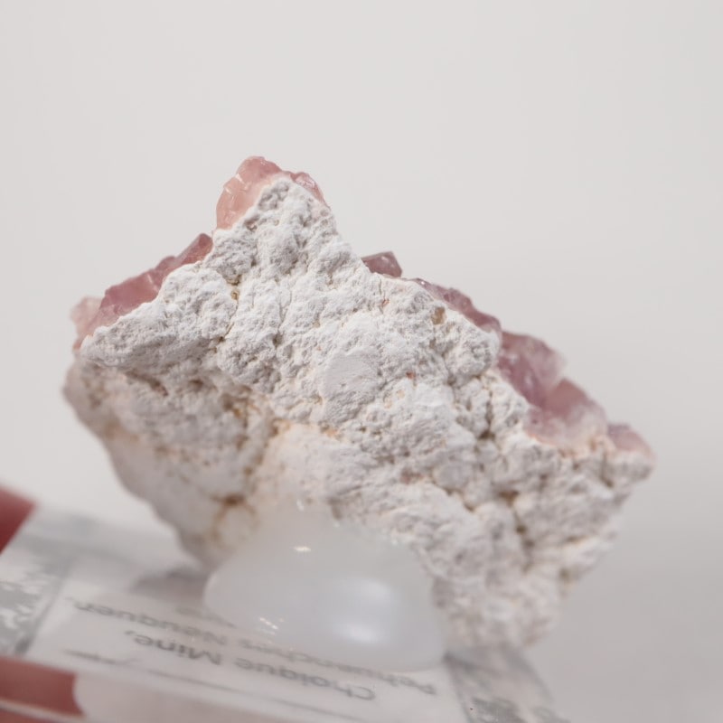 ���를����� �ԥ󥯥�������