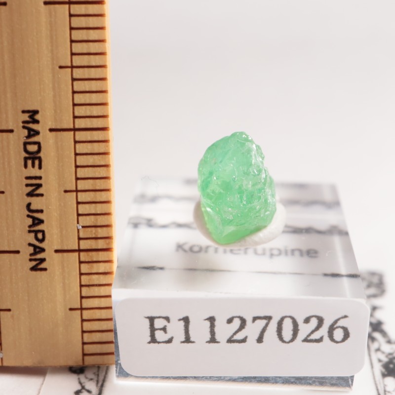 ���󥶥˥��� �����ͥ�ԥ�