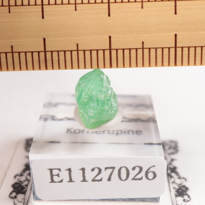 ���󥶥˥��� �����ͥ�ԥ�