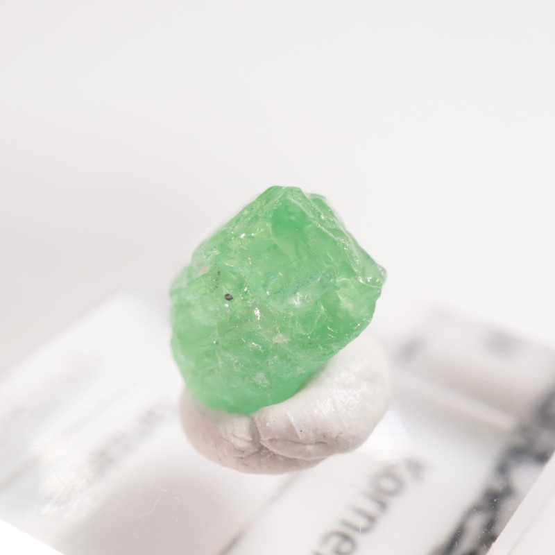 ���󥶥˥��� �����ͥ�ԥ�