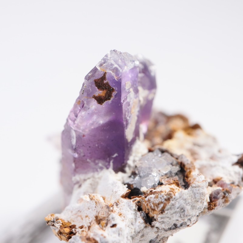 �֥��ɥС����� ���᥷����