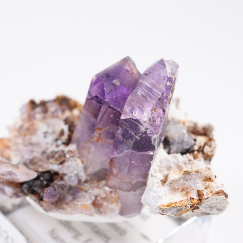 �֥��ɥС����� ���᥷����