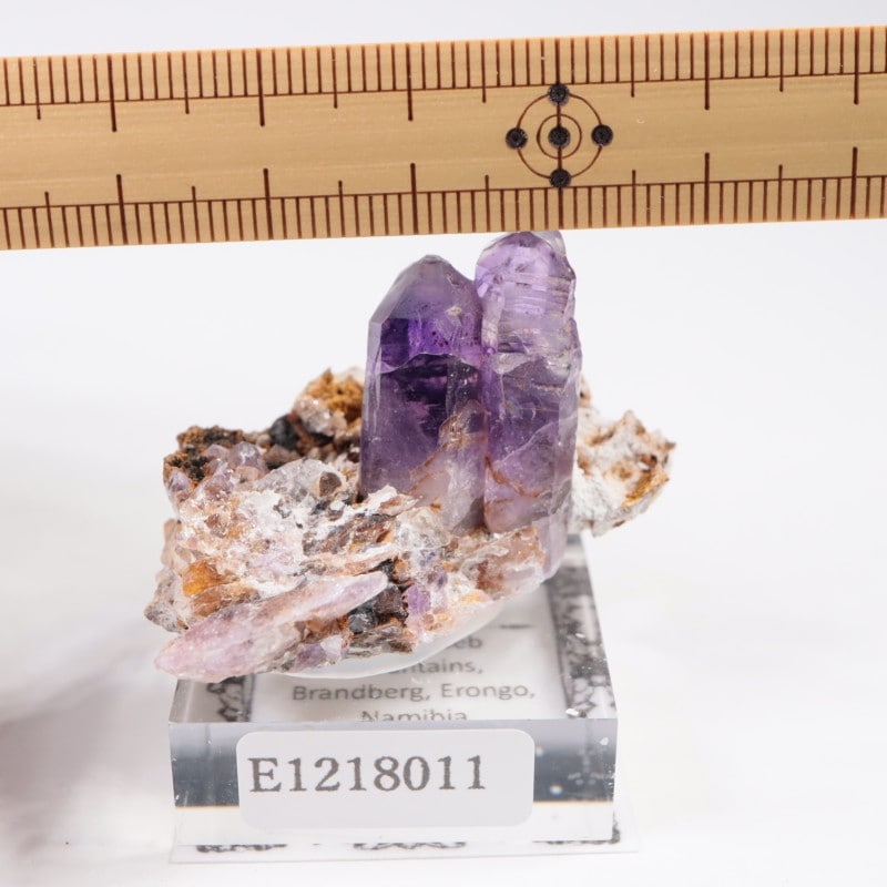 �֥��ɥС����� ���᥷����