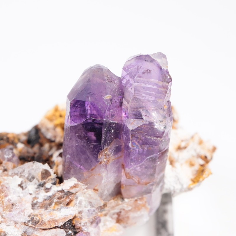 �֥��ɥС����� ���᥷����