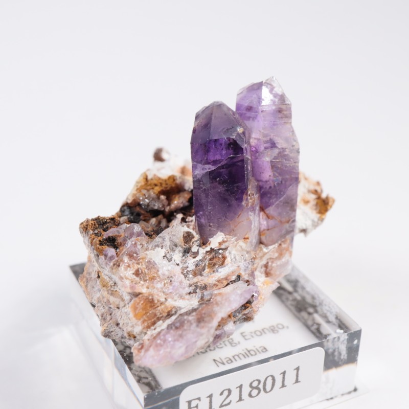 �֥��ɥС����� ���᥷����