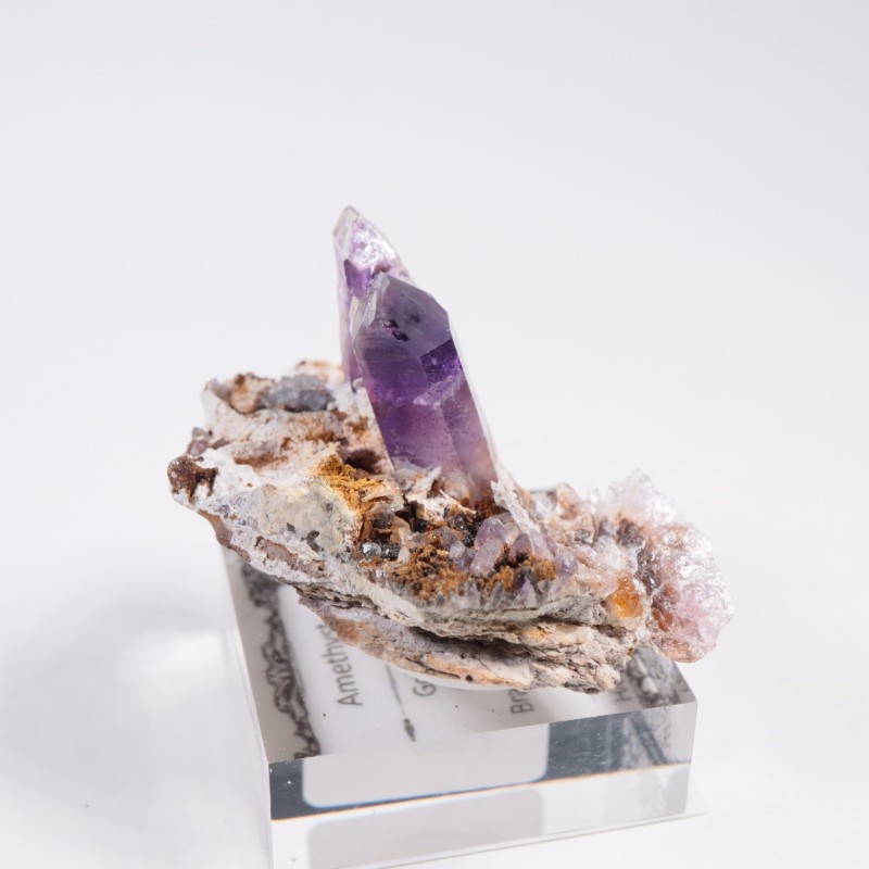 �֥��ɥС����� ���᥷����