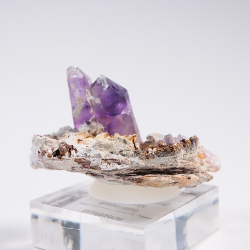 �֥��ɥС����� ���᥷����