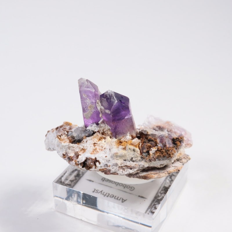 �֥��ɥС����� ���᥷����