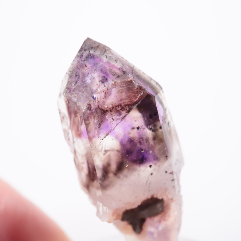 �֥��ɥС����������᥷����