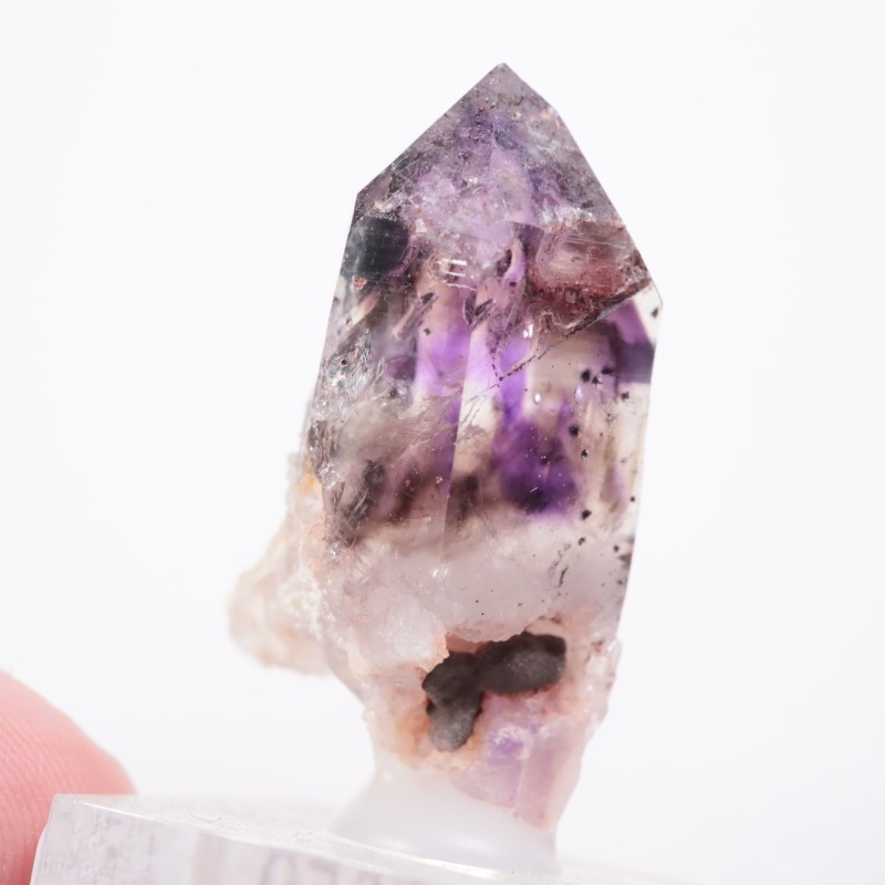 �֥��ɥС����������᥷����