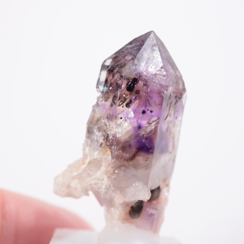 �֥��ɥС����������᥷����