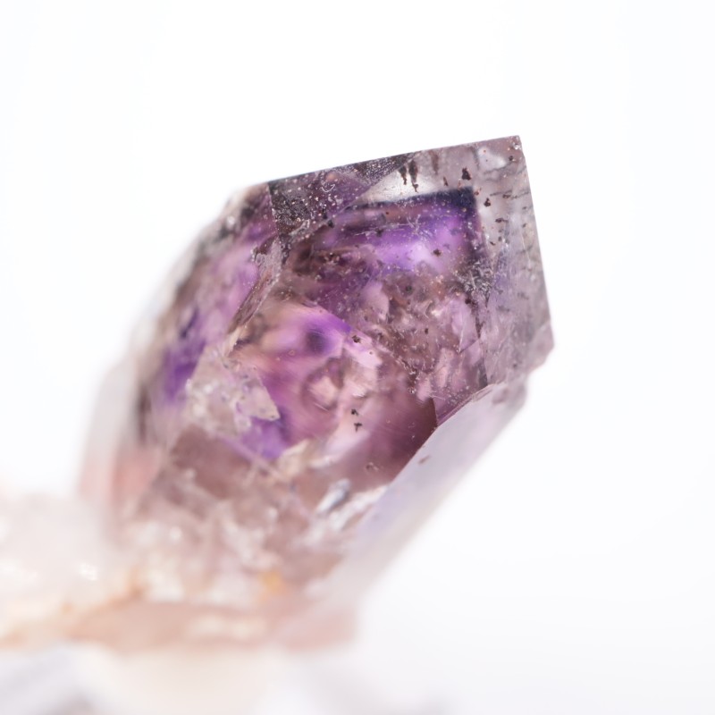 �֥��ɥС����������᥷����