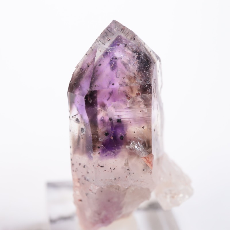 �֥��ɥС����������᥷����