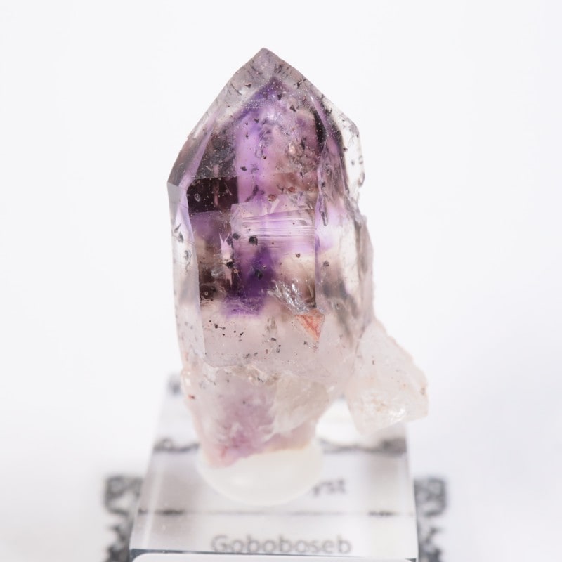 �֥��ɥС����������᥷����