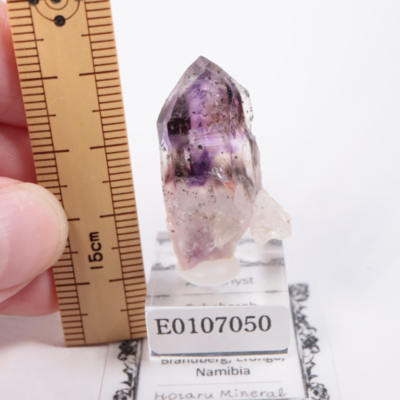 �֥��ɥС����������᥷����