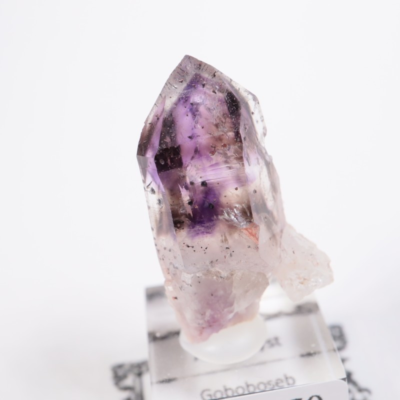 �֥��ɥС����������᥷����