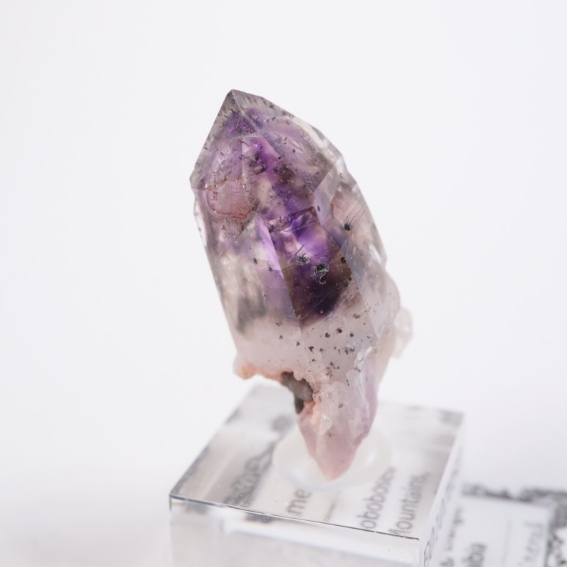 �֥��ɥС����������᥷����