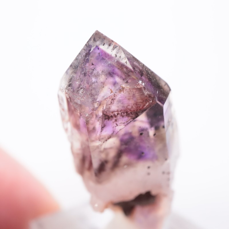 �֥��ɥС����������᥷����