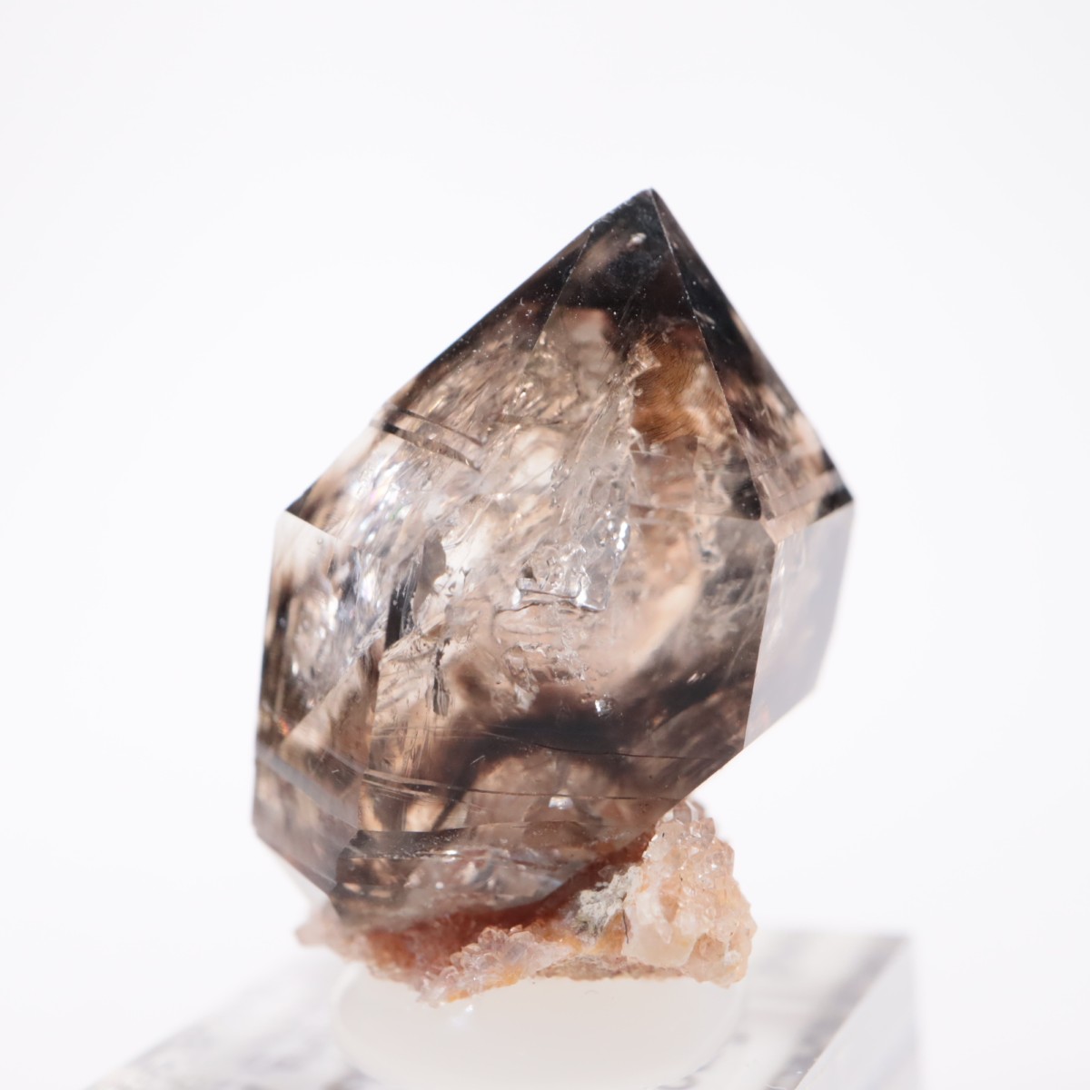 �������ȥ�ꥢ�� ����徽