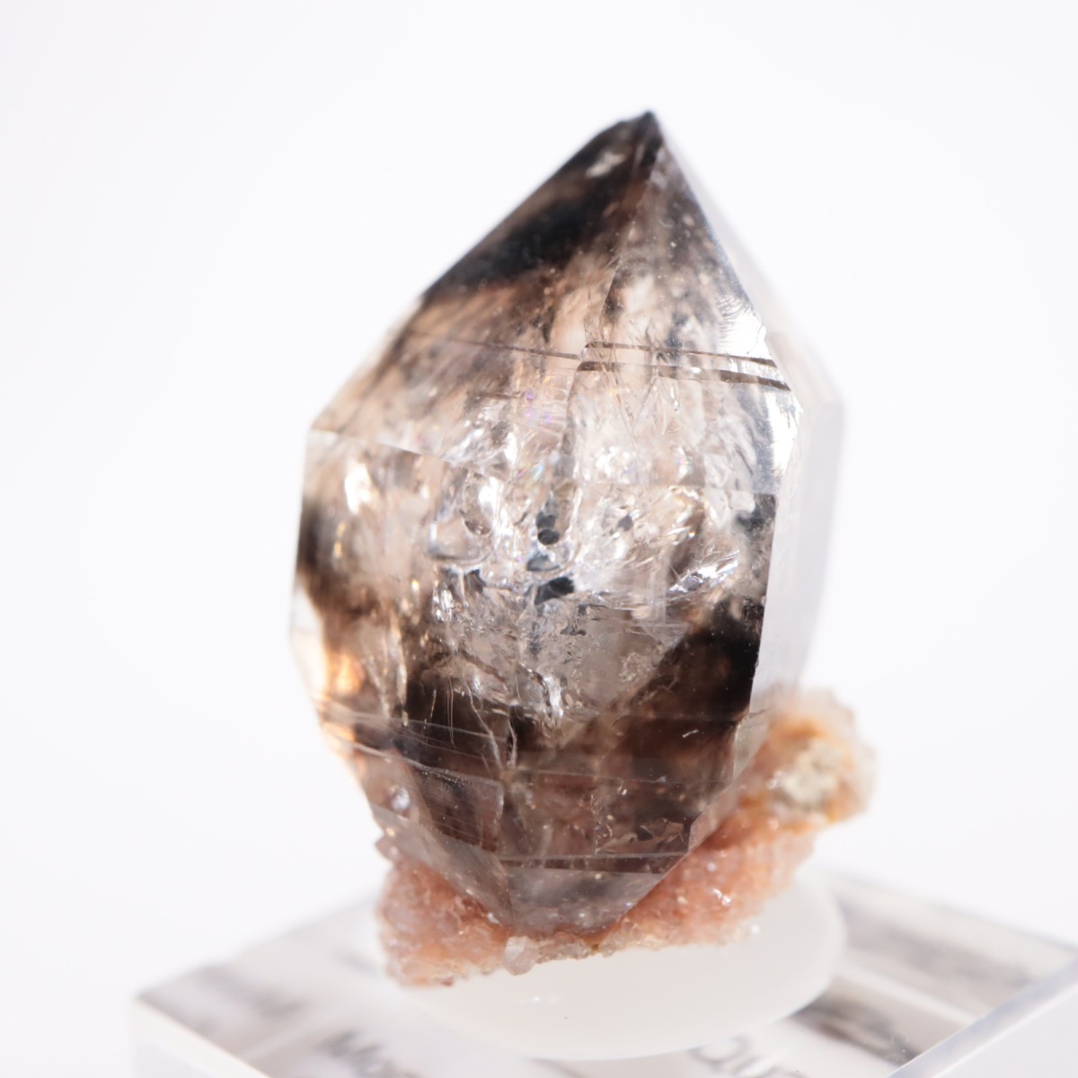 �������ȥ�ꥢ�� ����徽