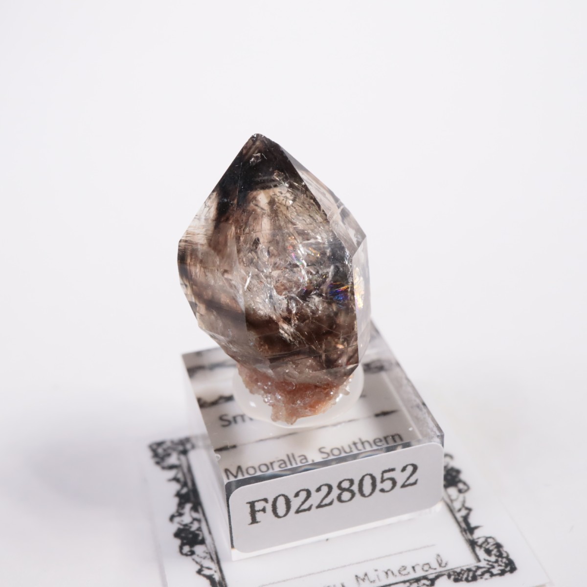 �������ȥ�ꥢ�� ����徽