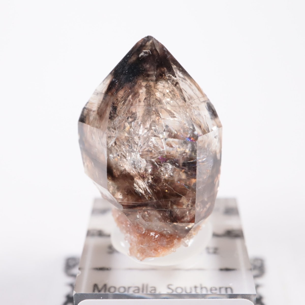 �������ȥ�ꥢ�� ����徽