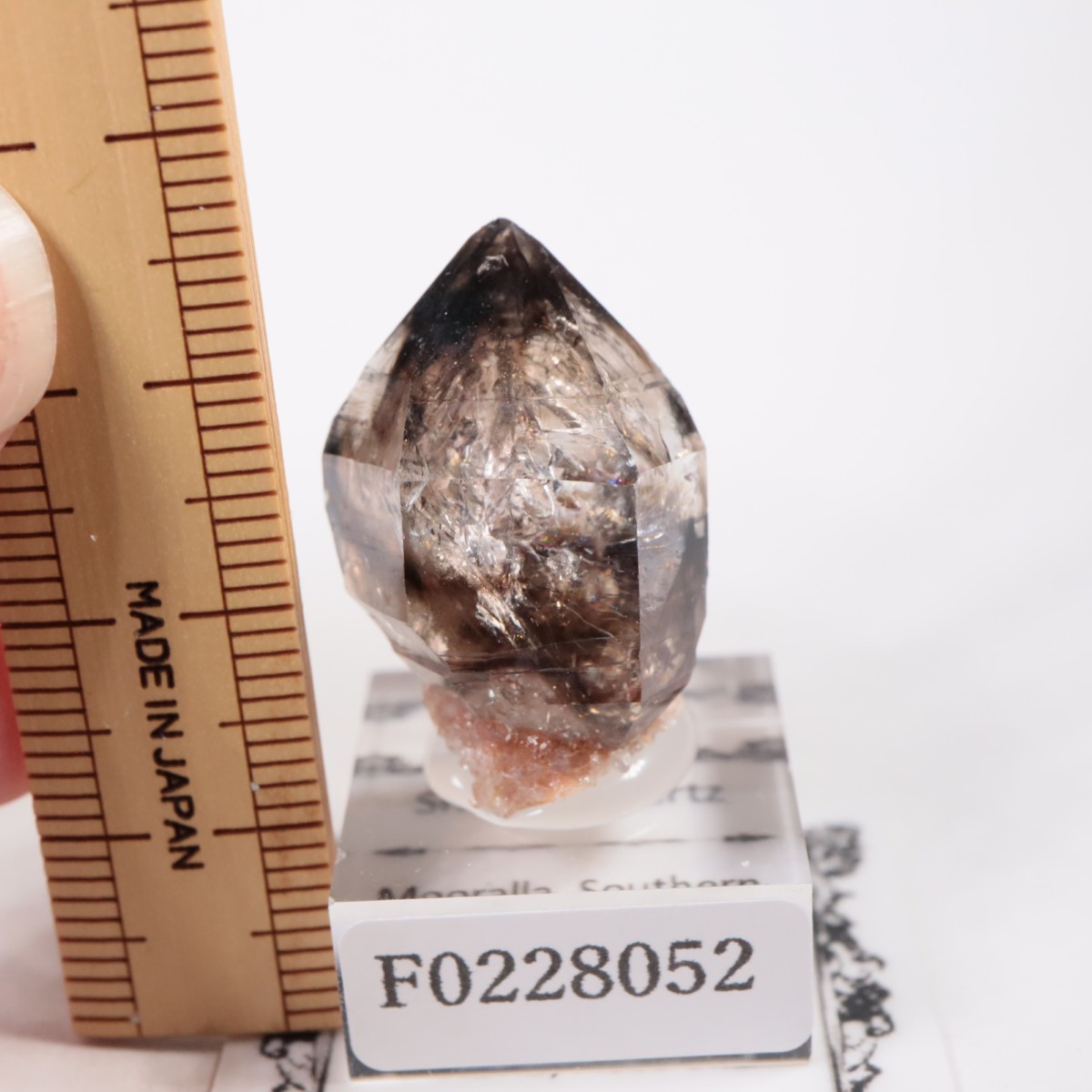 �������ȥ�ꥢ�� ����徽