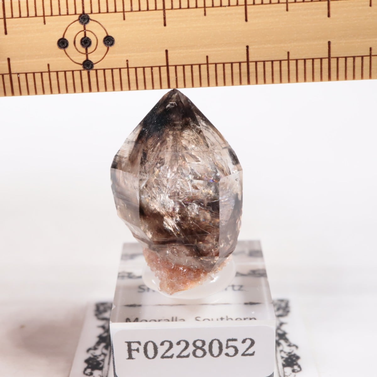 �������ȥ�ꥢ�� ����徽