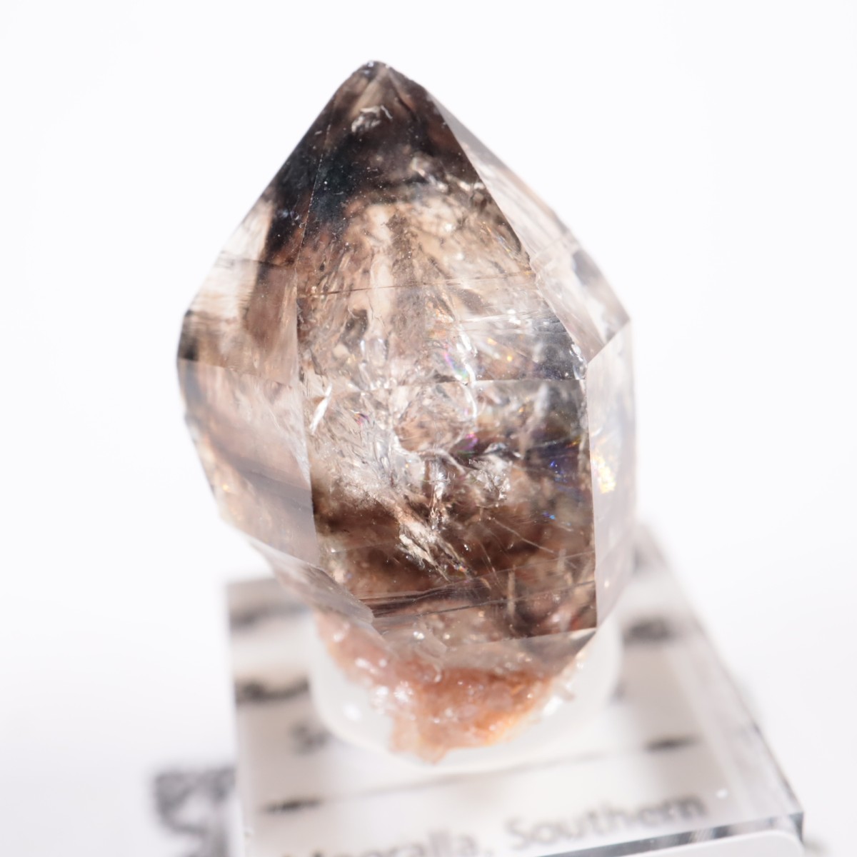 �������ȥ�ꥢ�� ����徽