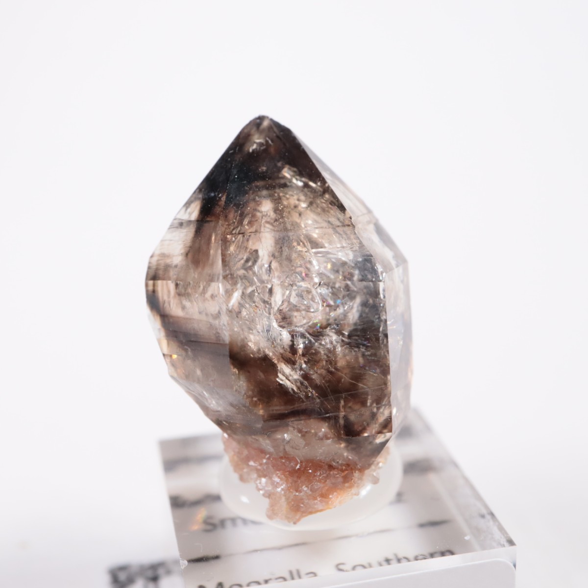 �������ȥ�ꥢ�� ����徽