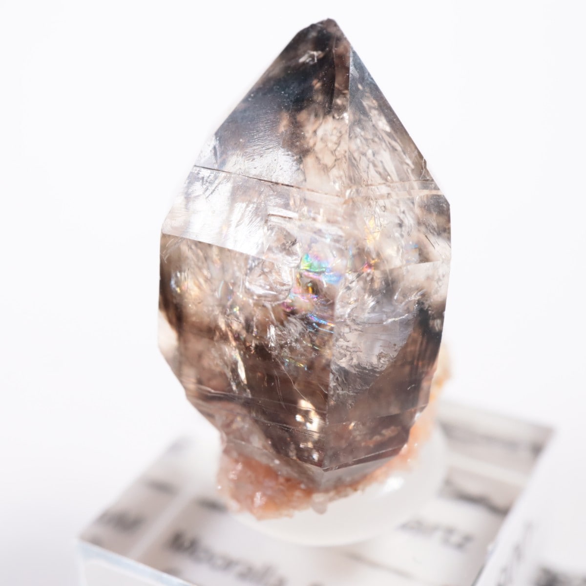 �������ȥ�ꥢ�� ����徽