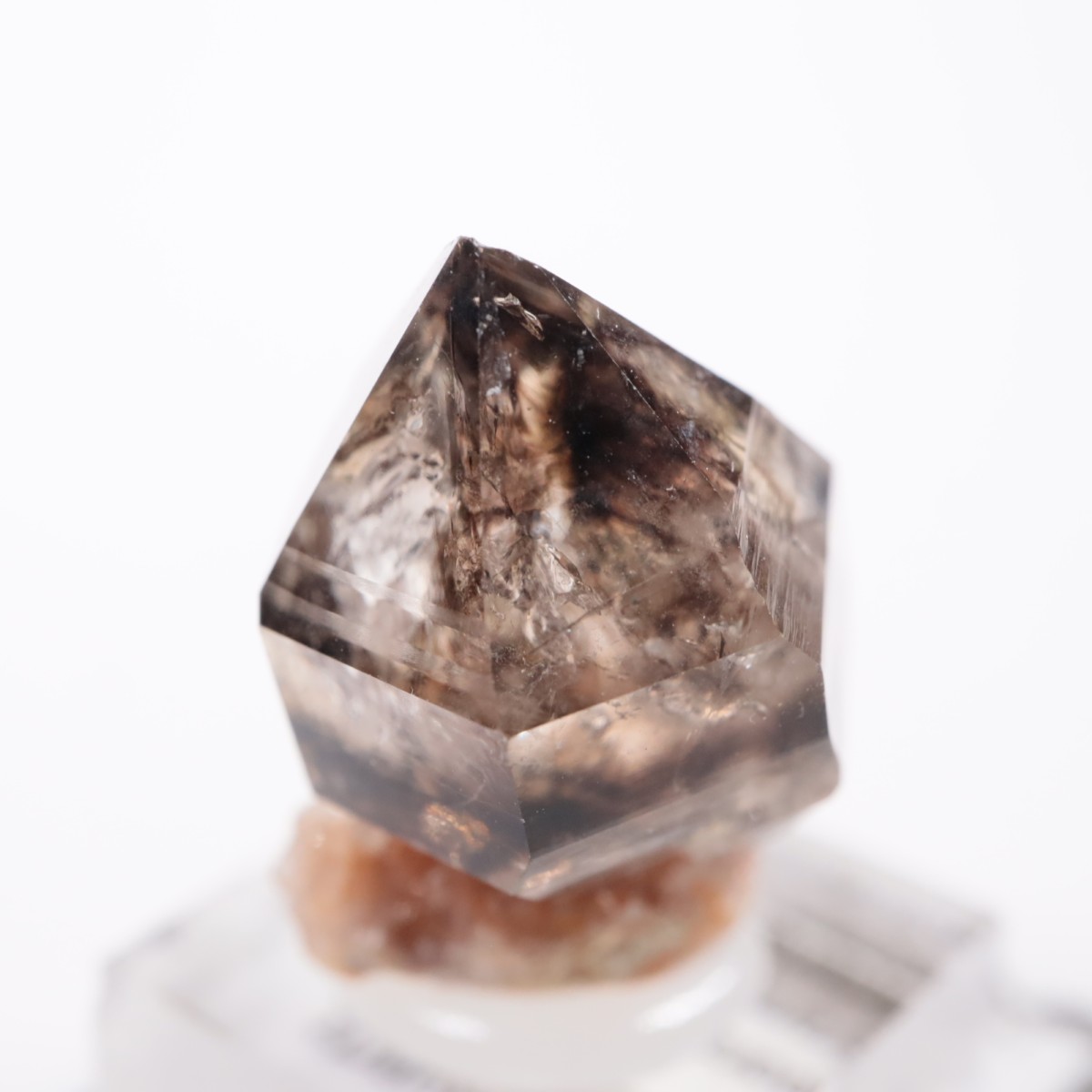 �������ȥ�ꥢ�� ����徽