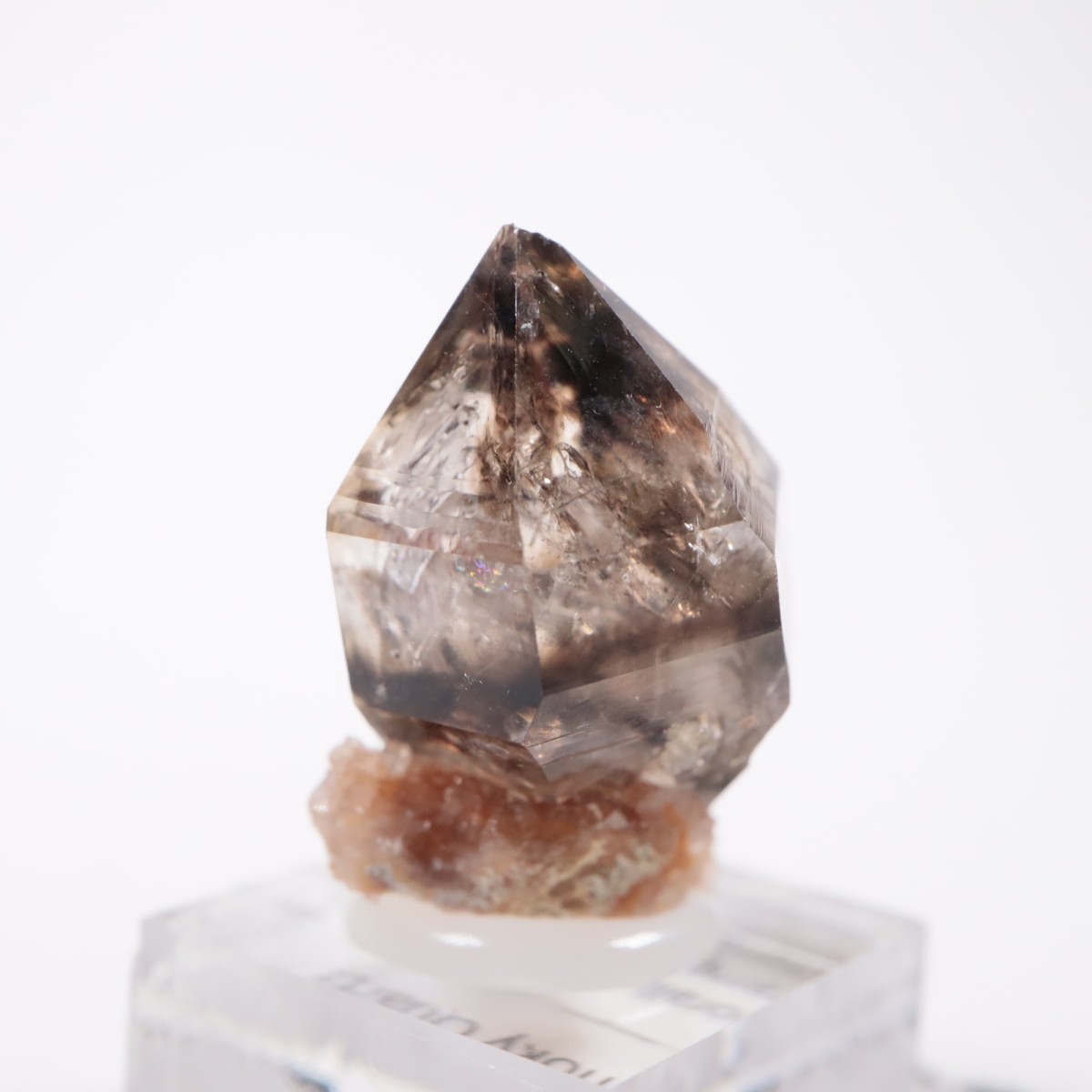 �������ȥ�ꥢ�� ����徽