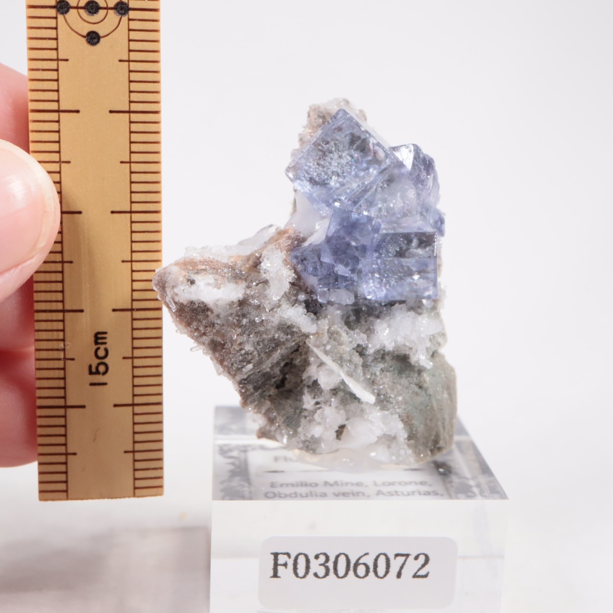 フローライト原石　エミリオ鉱山①　鉱物標本　天然石 楽天市場】【標本 一点もの】フローライト 原石 スペイン エミリオ鉱山