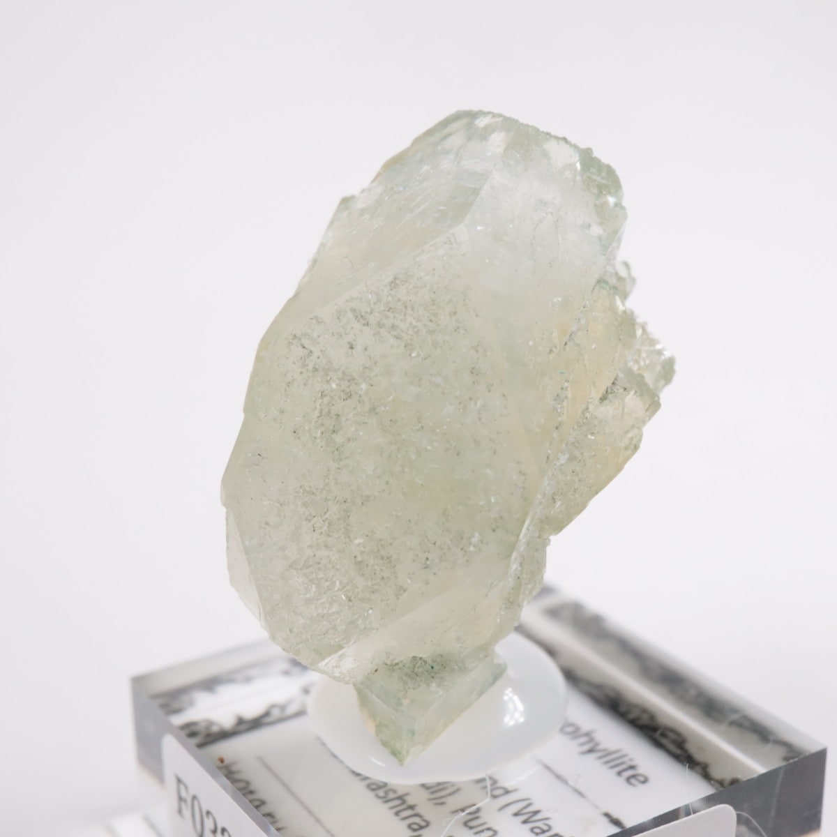 ����ɻ� ���ݥե��饤��