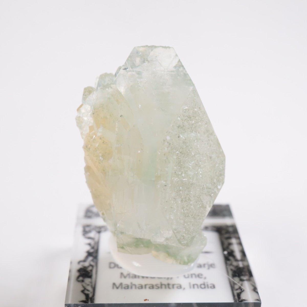 ����ɻ� ���ݥե��饤��