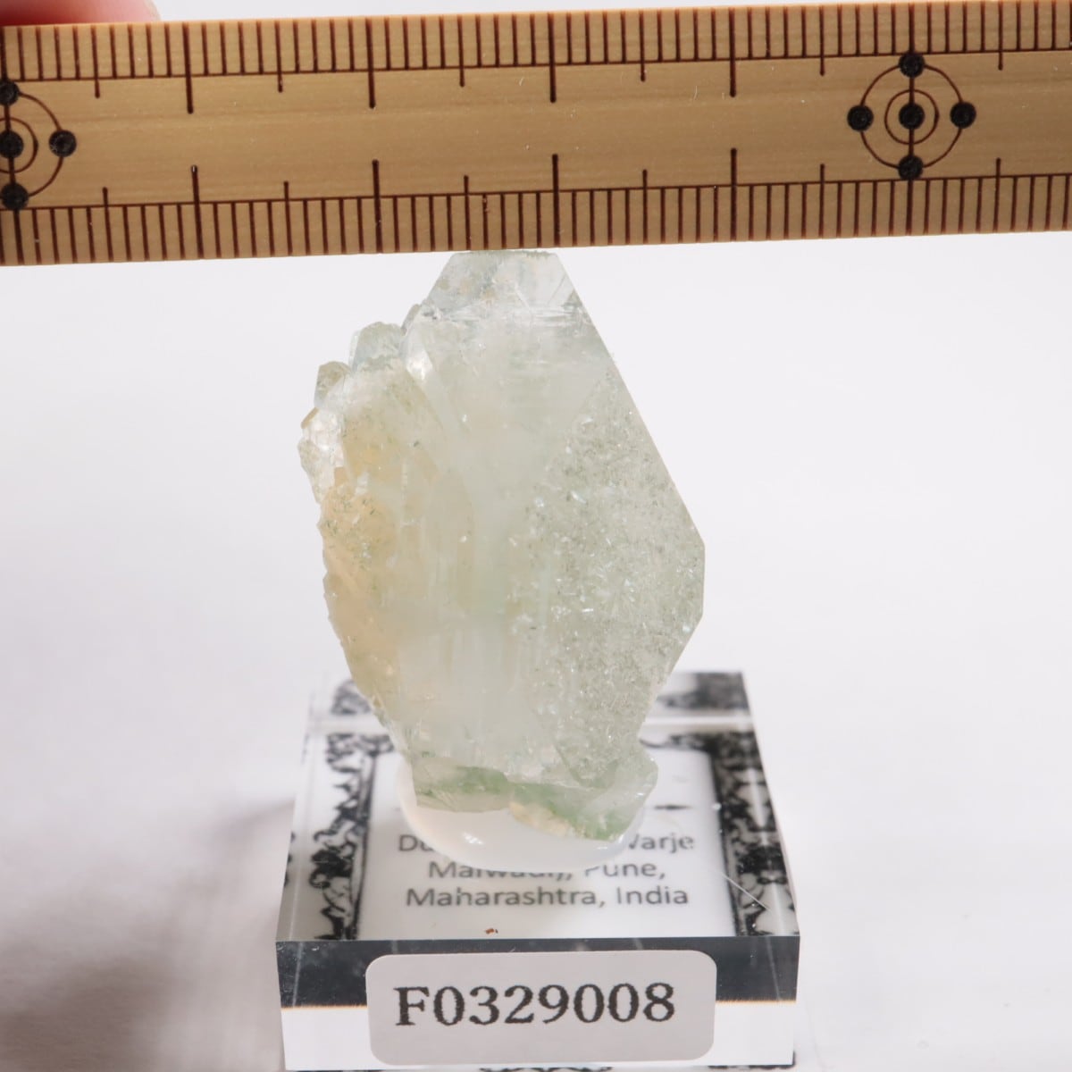 ����ɻ� ���ݥե��饤��